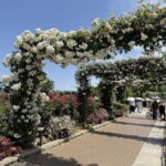 yamashitapark