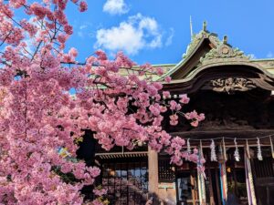 桜神宮　桜新町